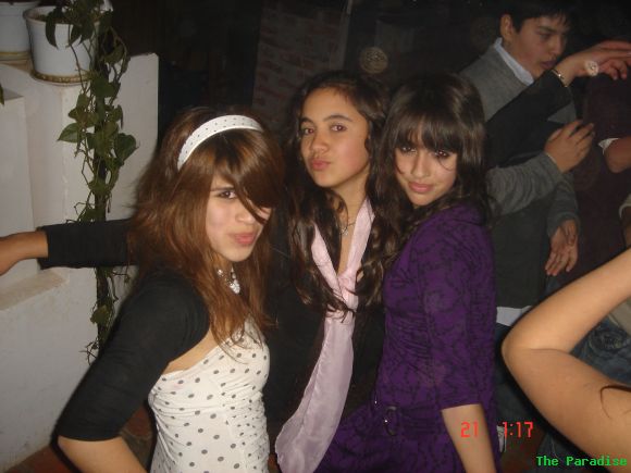 Gatas?