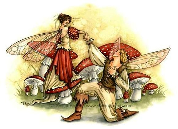 EL AMOR ES CUESTION DE LOCURA Y DE VIVIR