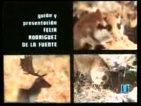EL HOMBRE Y LA TIERRA