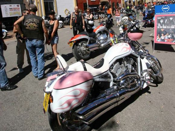 harley pink