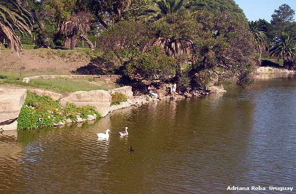 parque Rodò