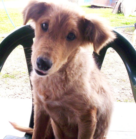 tobi hace unos meses