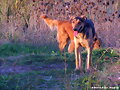 TOBI Y OLIVIA HACE UNOS DIAS