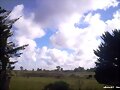 p&agrave;jaros volando