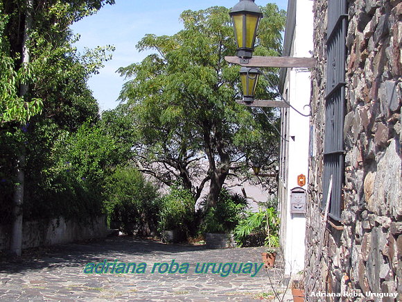 callecita en Colonia del Sacramento
