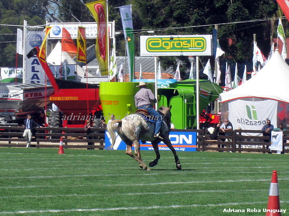 expo rural 2009 Uruguay