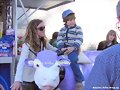 la simp&agrave;tica vaquita de milka