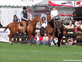 pruebas con los caballos