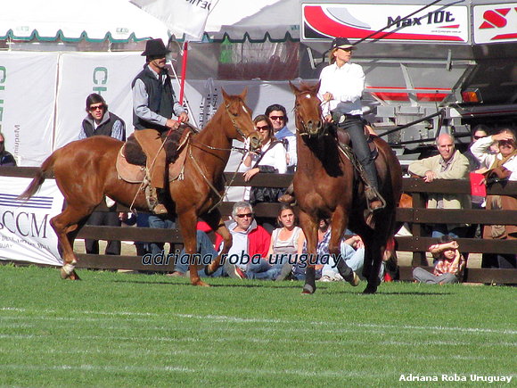 pruebas con los caballos