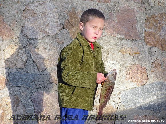gurisito pescador