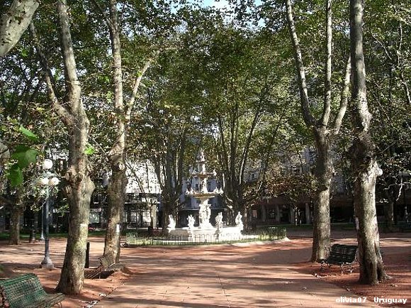 Plaza Matriz Ciudad VIEJA