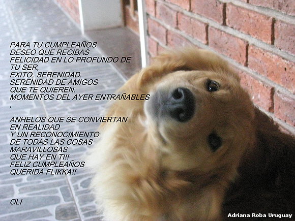 feliz cumpleaños querida Flikka!!
