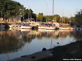 COLONIA