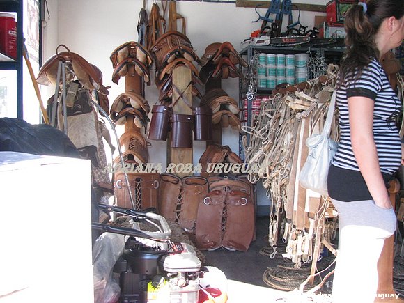 TALABARTERIA EN RIVERA