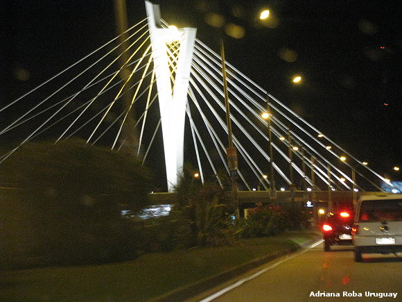 PUENTE  LAS AMERICAS  CARRASCO