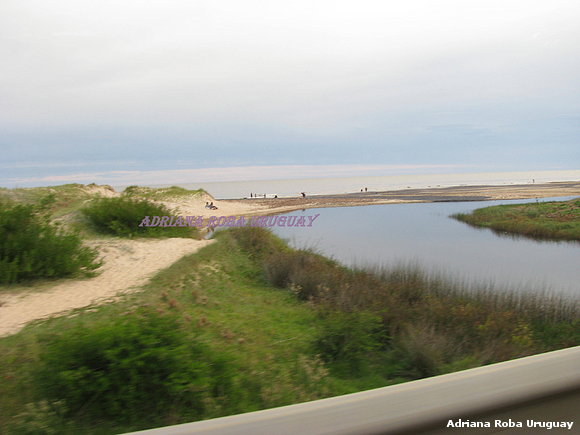 PLAYAS OCEANICAS