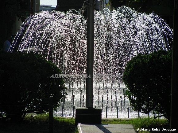 FUENTE DE AGUA