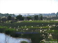 Humedales del Rio Santa Lucia