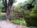 CAMINOS DEL PARQUE ROD&Ograve;