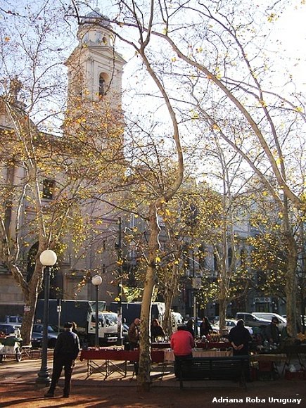 la Iglesia Matriz frente a la plaza Constituciòn