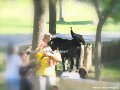 armon&igrave;a del hombre y el animal.