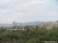 paisajes de mi tierra