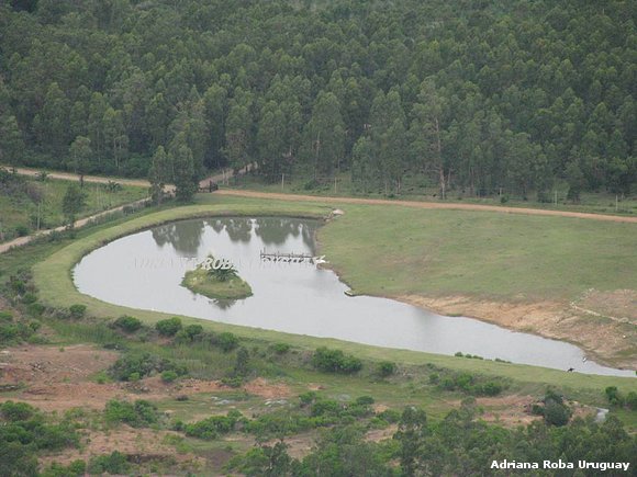 UN LAGO ARTIFICIAL