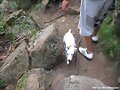SUBIENDO EL CERRO