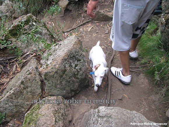 SUBIENDO EL CERRO