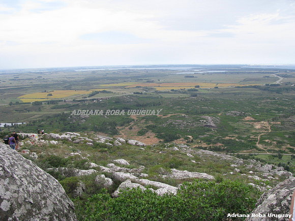 PIEDRA CAMPO Y MAR