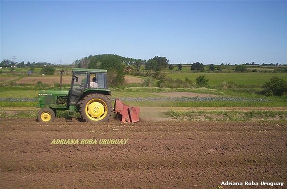 mi esposo en el tractor