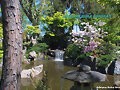 jard&igrave;n japon&egrave;s