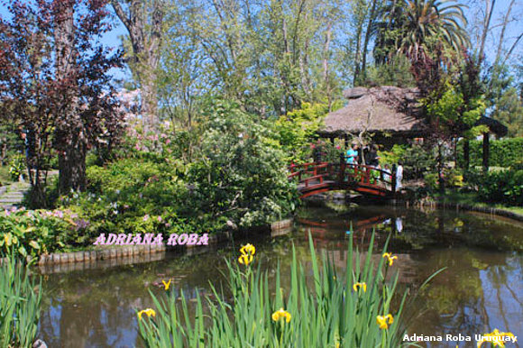 Jardìn Japonès