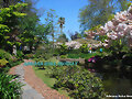 Jardin Japones