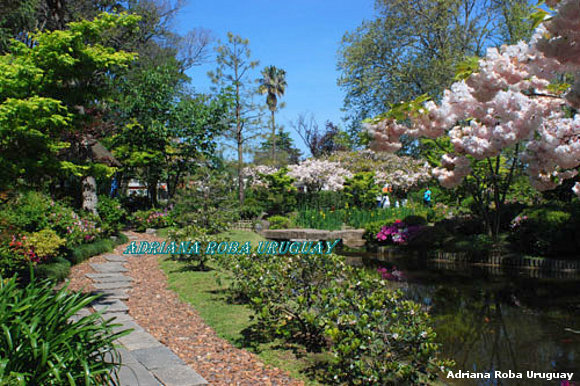 Jardin Japones