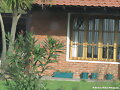 mi ventana