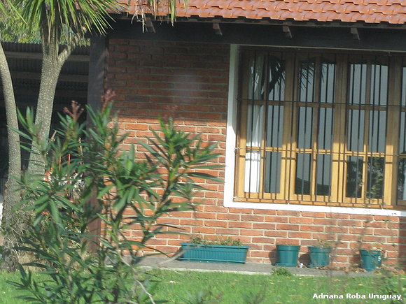 mi ventana
