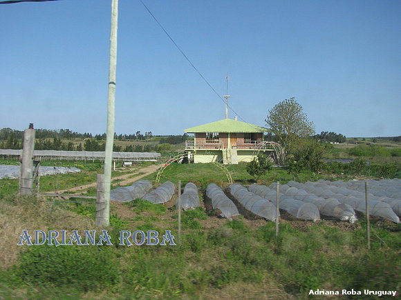 granja de especias