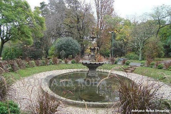 JARDÌN BOTÀNICO