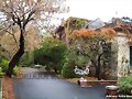 jard&igrave;n bot&agrave;nico