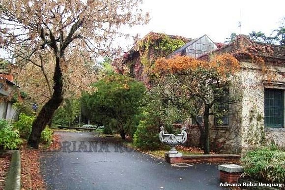 jardìn botànico