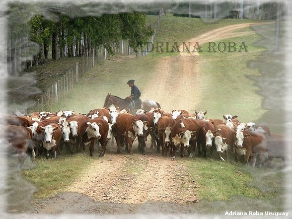tropilla y tropero