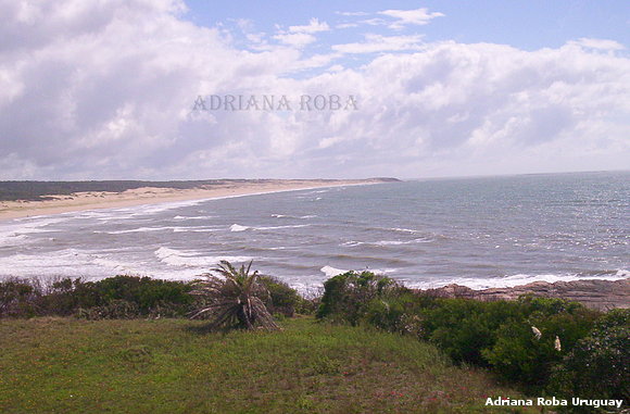 NUESTRAS PLAYAS OCEANICAS