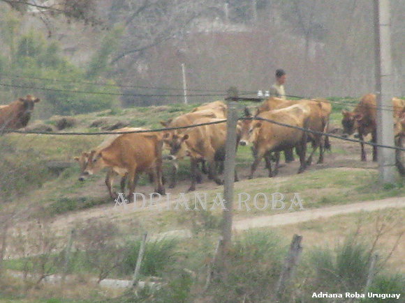 campo nuestro