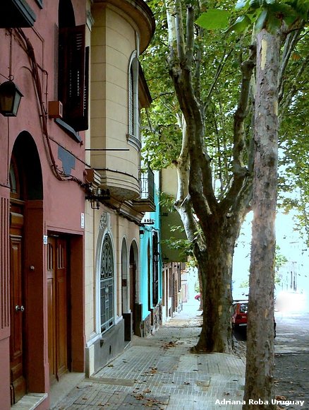 barrios de Montevideo