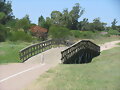 puentes de la vida...