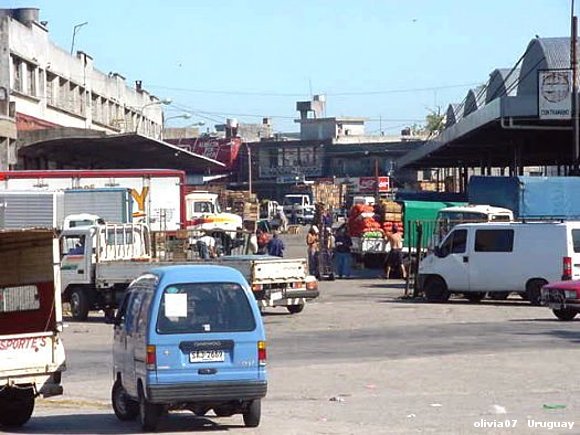 Mercado Modelo