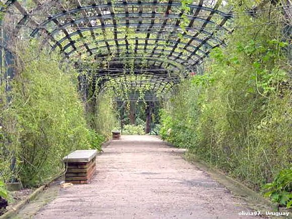 ROSEDAL DEL PRADO