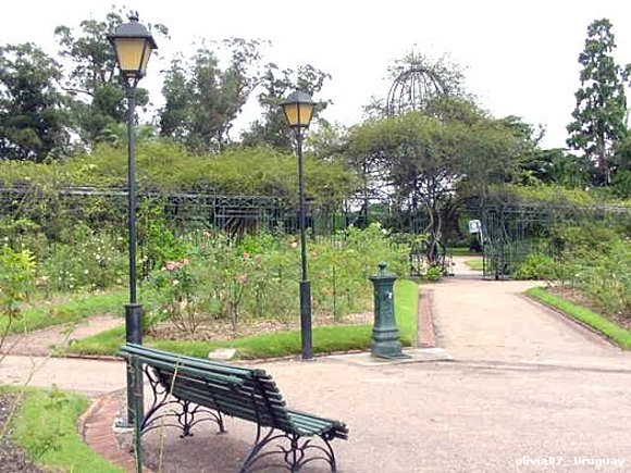 ROSEDAL DEL PRADO