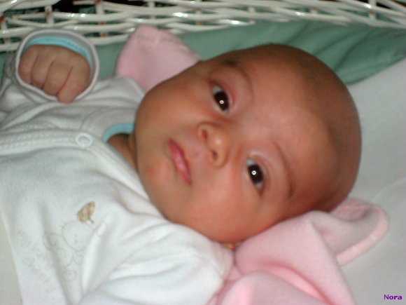 FIORELLA